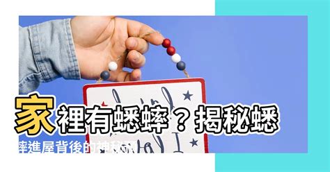 家裡出現蟋蟀|蟋蟀入屋5大秘密